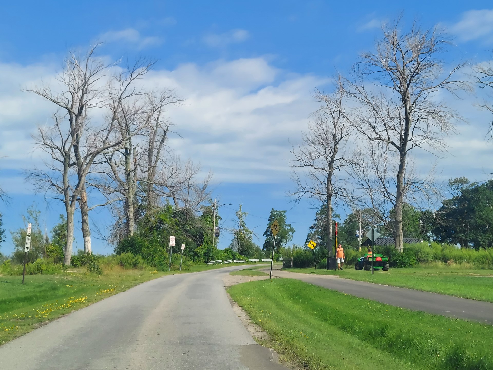 Point Gratiot Park tree push takes root | News, Sports, Jobs - Vimarsana News